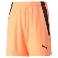 Puma teamLIGA Shorts Jr Neon Citrus black