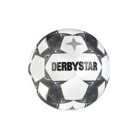 Derbystar FB-Brillant TT v24 wei&szlig;/silber