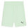 Puma teamGoal Shorts Fresh mint/Puma black 705752