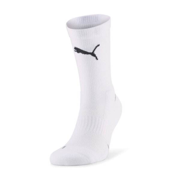 Puma Team SMU Indoor Socks