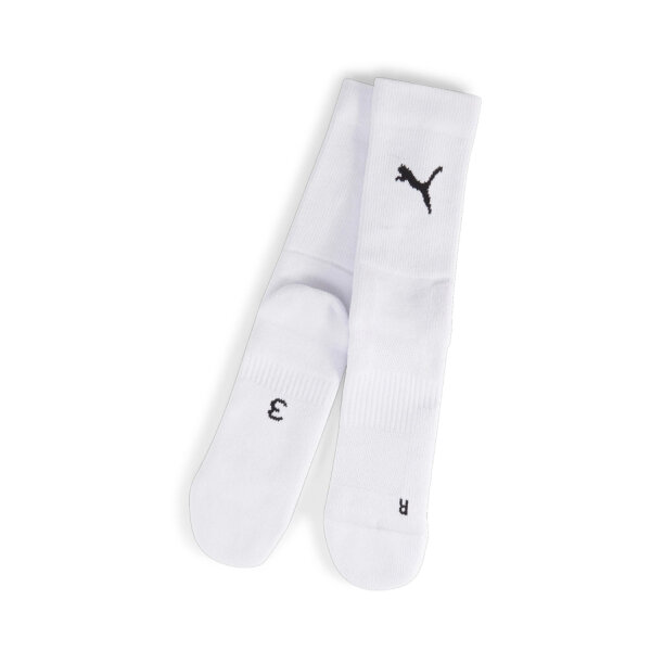 Puma teamGoal Performance Sock White-Black