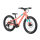 Scott Scale 200 Kinderfahrrad 20-Zoll Mountainbike grapefruit orange