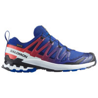 Salomon XA Pro 3D V9 GTX Unisex Freizeitschuh Equipe