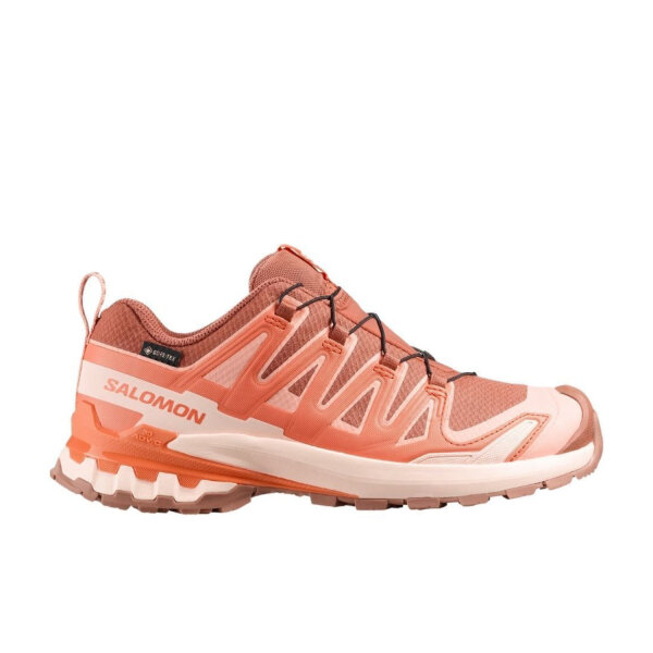 Salomon XA Pro 3D v9 GTX Damen Freizeitschuh Pecan Brown/Nectarine