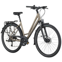 Bergamont Vitess 50 Amsterdam warm silver