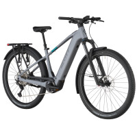 Scott Axis 10 e-Bike Bird Grey Bosch CX 800Wh M