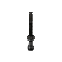 Schwalbe Tubless Ventil 100mm