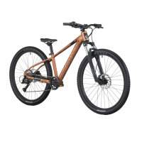 Scott Roxter 600 Kinderfahrrad alloy brown OneSize