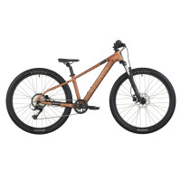 Scott Roxter 400 Kinderfahrrad Mountainbike 24-Zoll Ioch...