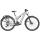 Scott Axis eRIDE FS 10 E-Bike E-City-Trekking Prism Lazerfish Silver