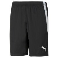 Puma teamLiga Shorts/Puma Black-Puma White