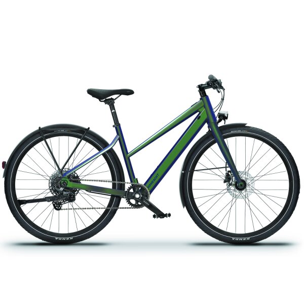 HoheAcht Lumo Terra Trapez, Rosenk&auml;fer, Mahle X35+, 250 Wh, E-Trekking E-Bike S 44