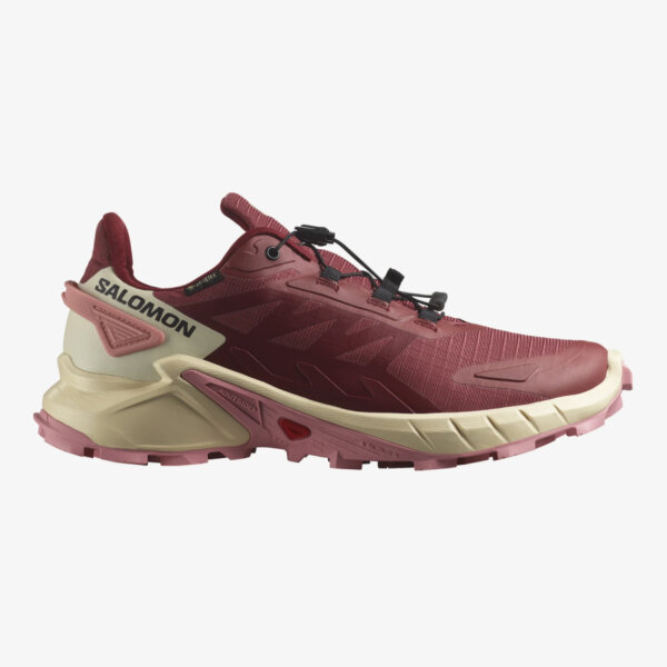 Salomon Supercross 4 GTX W Damen Freizeitschuh Cow Hide/Syrah/Blue 40