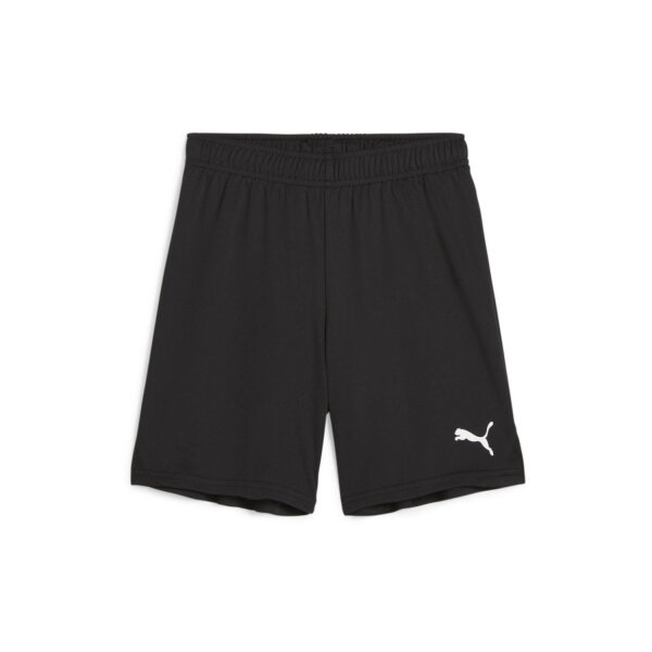 Puma teamGoal Shorts/Puma Black-Puma White